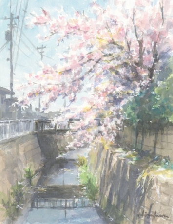 宇田川の桜：F6