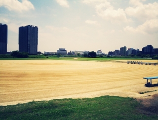 20140701多摩川六郷緑地野球場