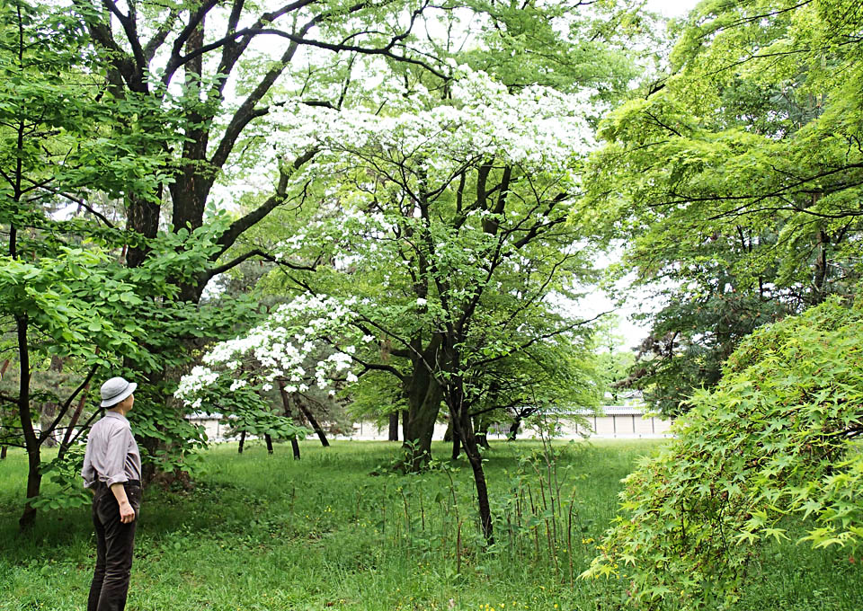 hanamizuki_651.jpg