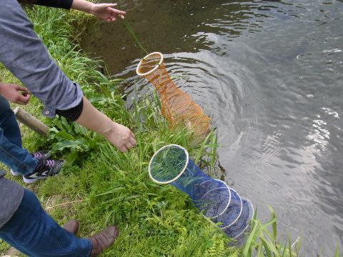 釣れた魚はビクに入れて池の中に漬けておきます。