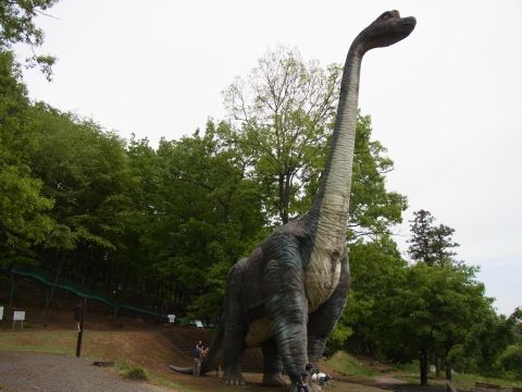 佐野運動公園の恐竜オブジェの先には絶叫ローラーすべり台があります。