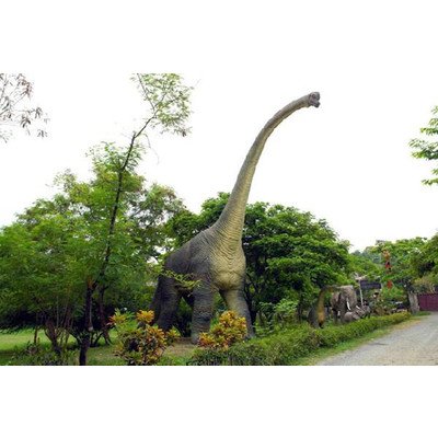 高さ１８ｍ超！ブラキオサウルス超巨大造形物（恐竜等身大フィギュア）