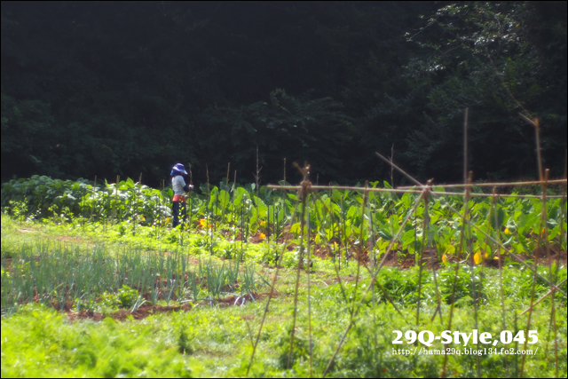 SYOKU-YABO農園