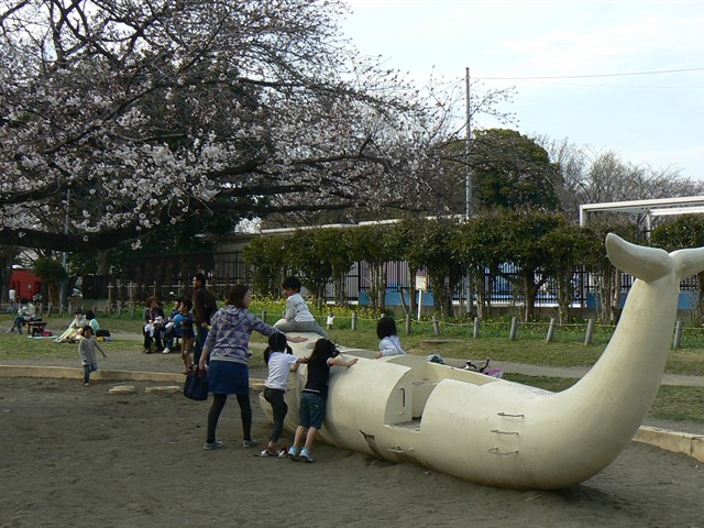 稲田公園１