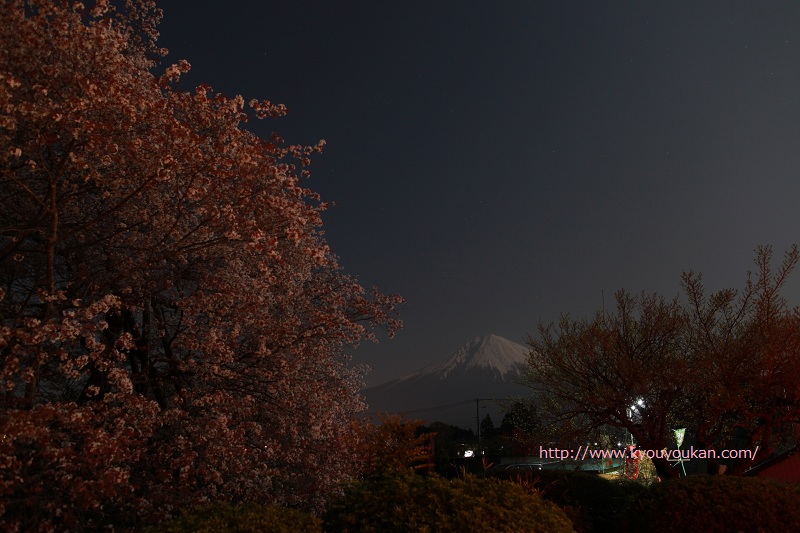 狩宿の下馬桜　駒止の桜　富士山