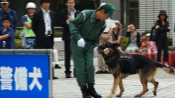 警察犬服従訓練