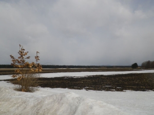 20140401a