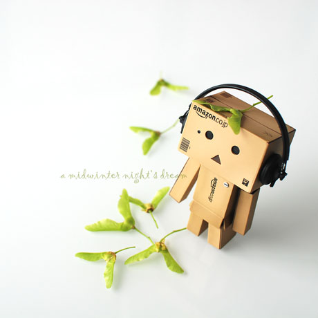 danbo with maple seeds