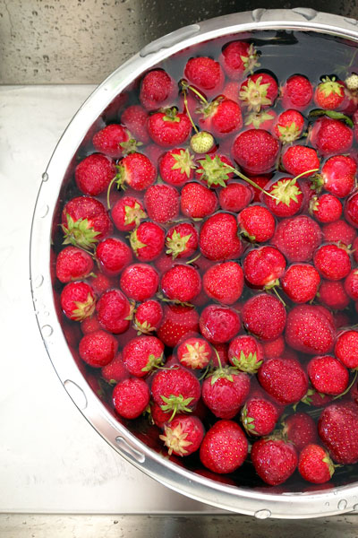 strawberry picking 2014-06-29