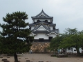 彦根城を見上げる