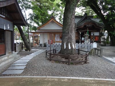 小津神社飛び石 (1)