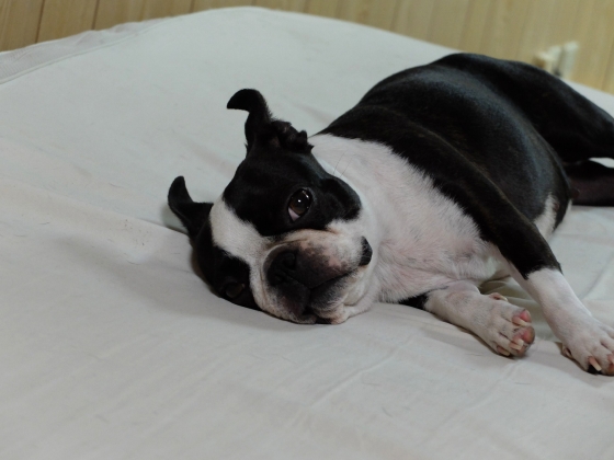 DSCF7319.jpg