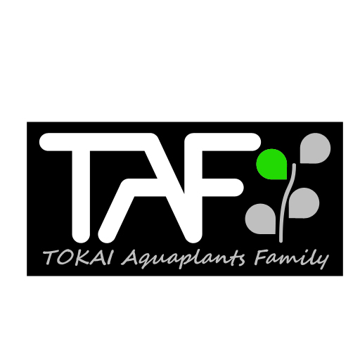 TAF2.jpg