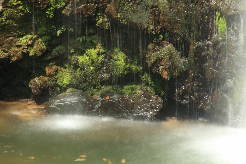 竜吟峡：二の滝の流れと苔 (800x533)