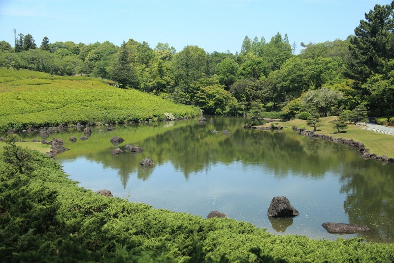 午前の日本庭園 (800x533)
