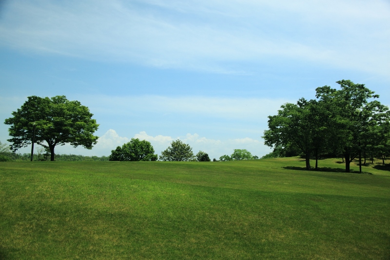 清々しい芝生の丘 (800x533)
