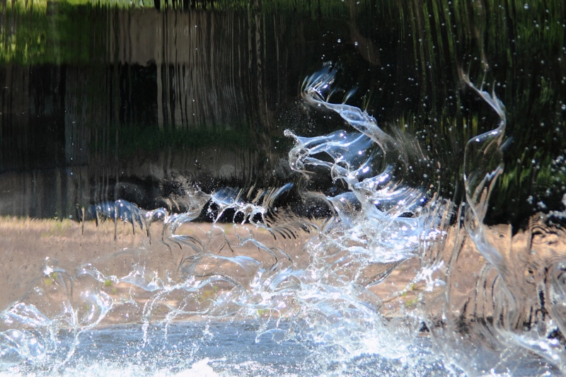 鳥？が飛ぶ滝の流れ (800x533)